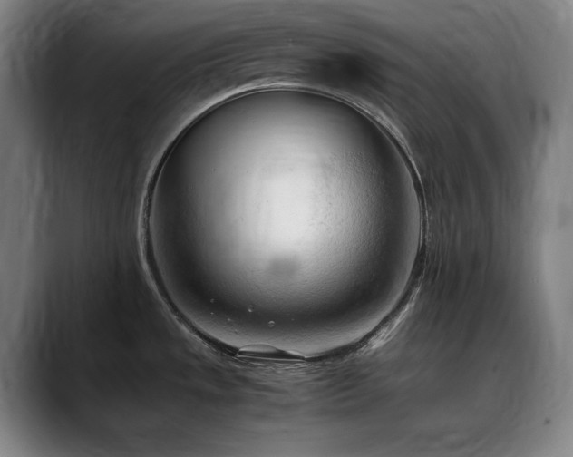 X0000090431533200707131152