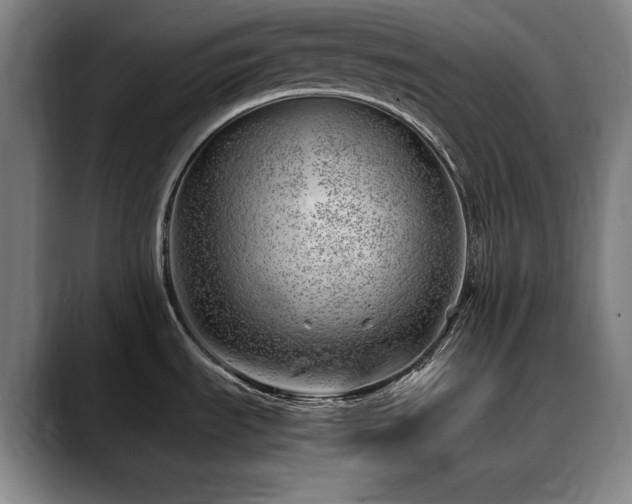 X0000090431535200707131152