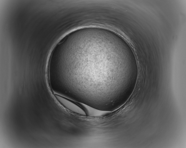 X0000090431536200707131152