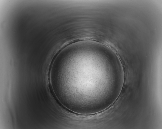 X0000090430002200707201145