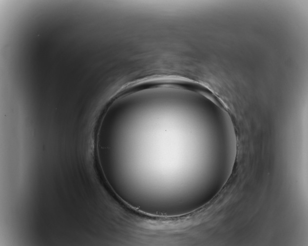 X0000090430005200707201144