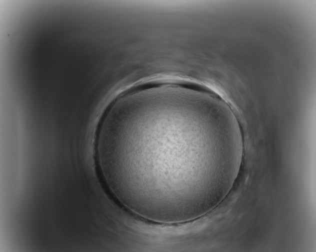 X0000090430007200707201144