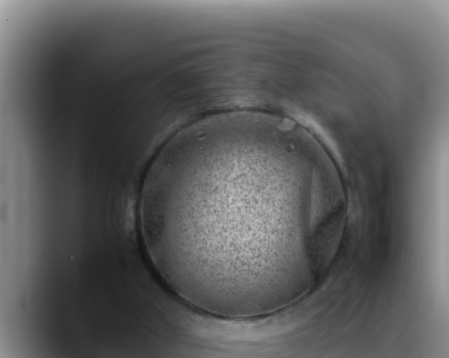 X0000090430010200707201144