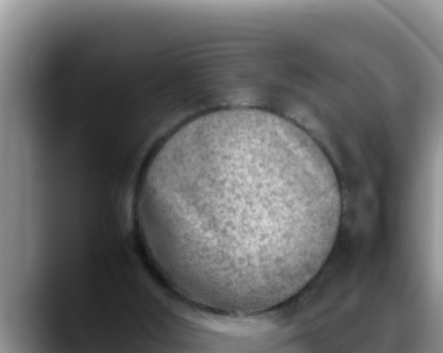 X0000090430012200707201144