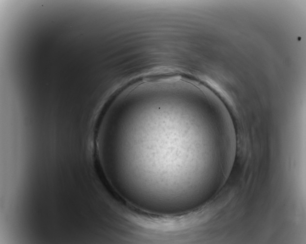 X0000090430015200707201144