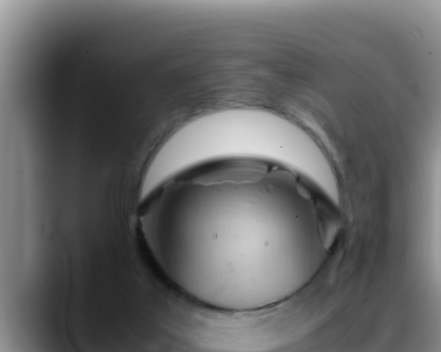 X0000090430019200707201144