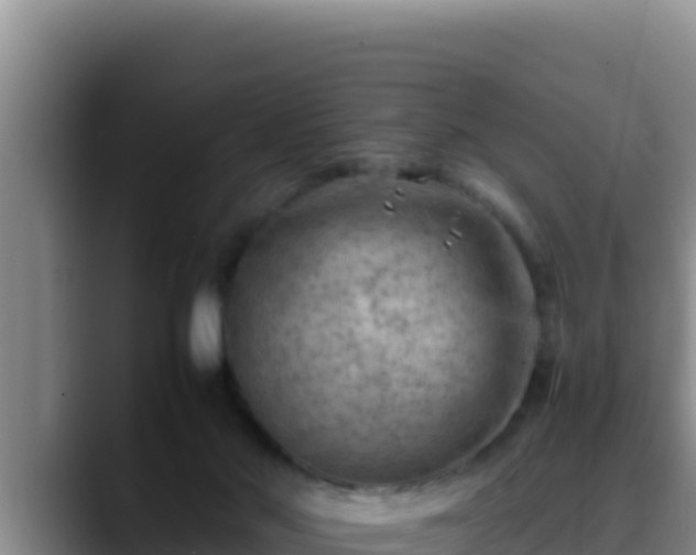 X0000090430022200707201144