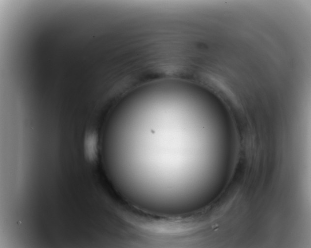 X0000090430024200707201144