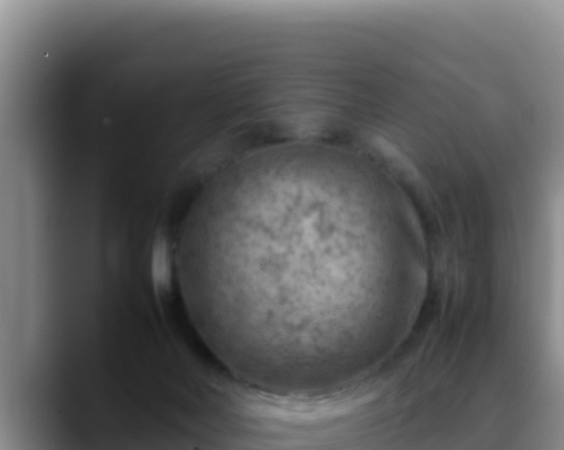 X0000090430026200707201144