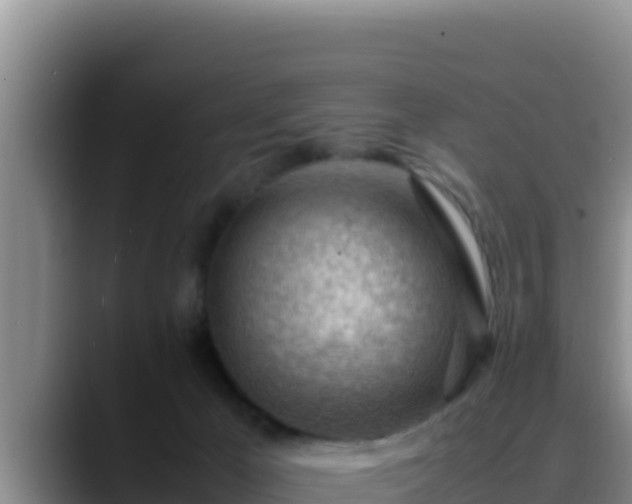 X0000090430029200707201144