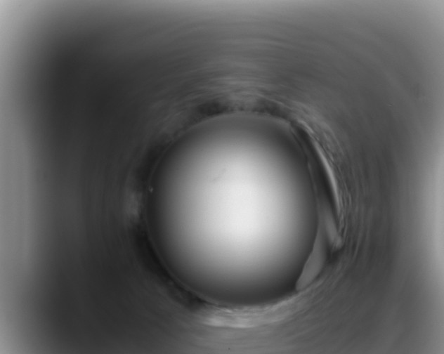 X0000090430033200707201144