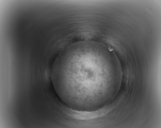X0000090430034200707201144