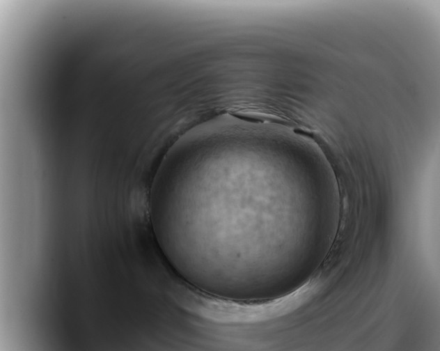 X0000090430048200707201144