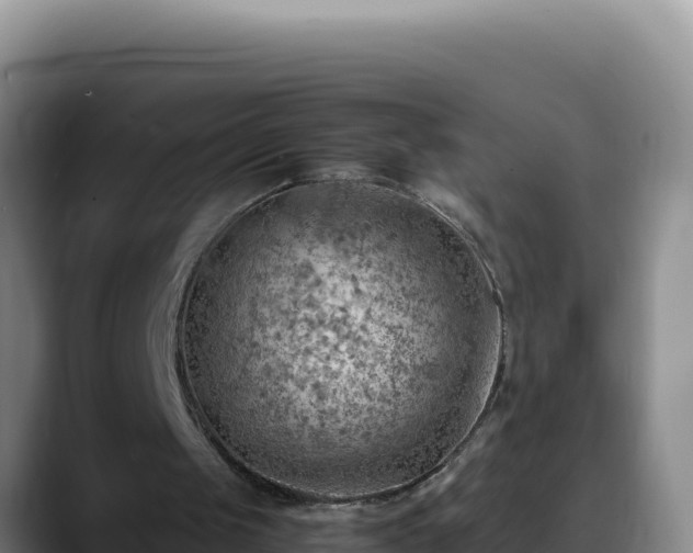 X0000090430049200707201143