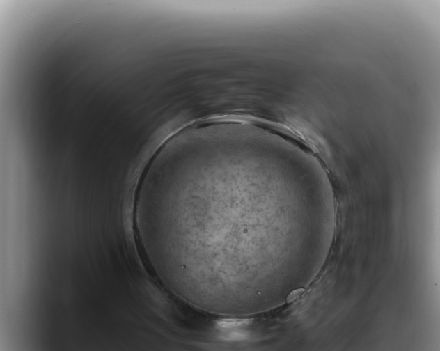 X0000090430051200707201143