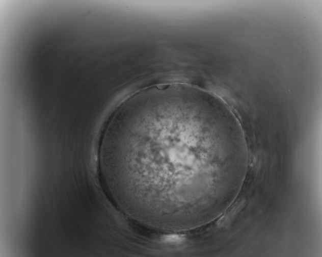 X0000090430053200707201143
