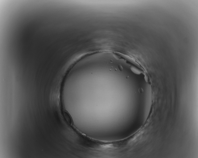 X0000090430054200707201143