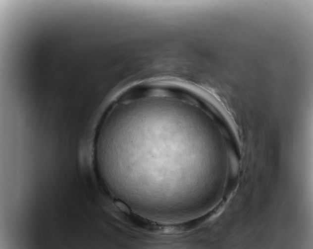 X0000090430056200707201143