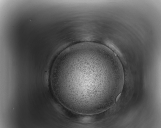 X0000090430058200707201144