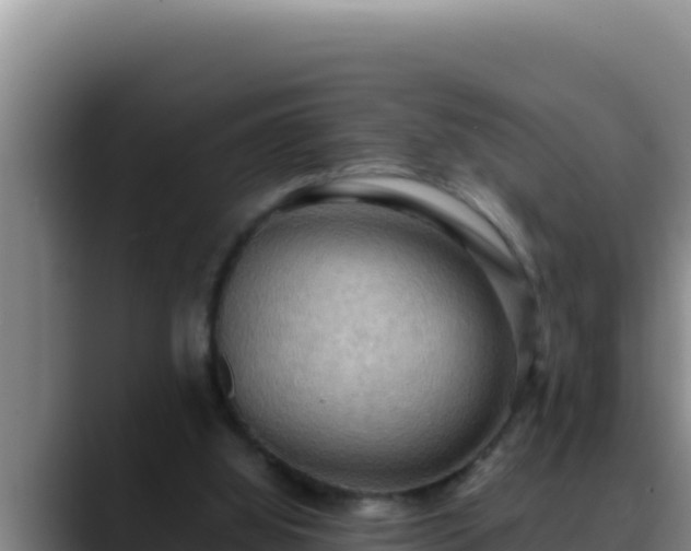 X0000090430060200707201144