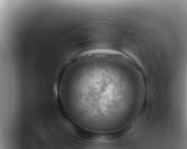 X0000090430062200707201144