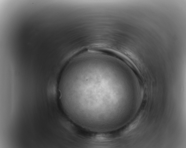 X0000090430064200707201144