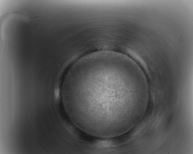 X0000090430067200707201144