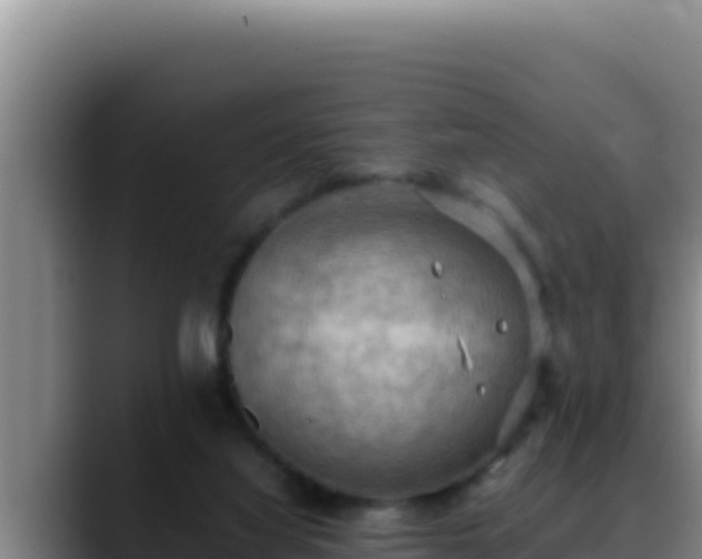 X0000090430068200707201144