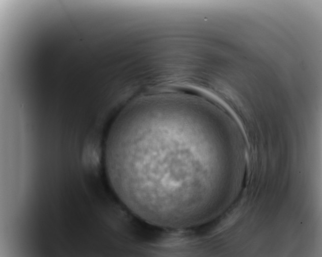 X0000090430072200707201144