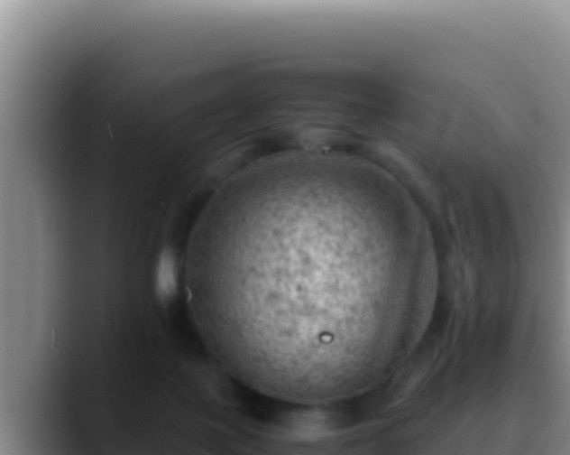 X0000090430075200707201144