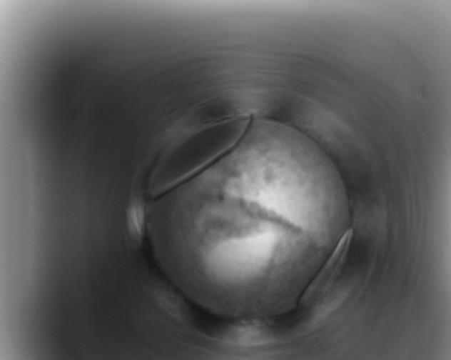 X0000090430076200707201144