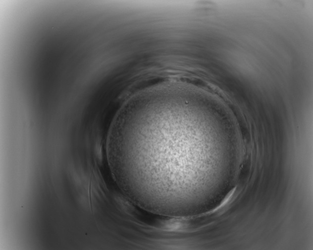 X0000090430094200707201144