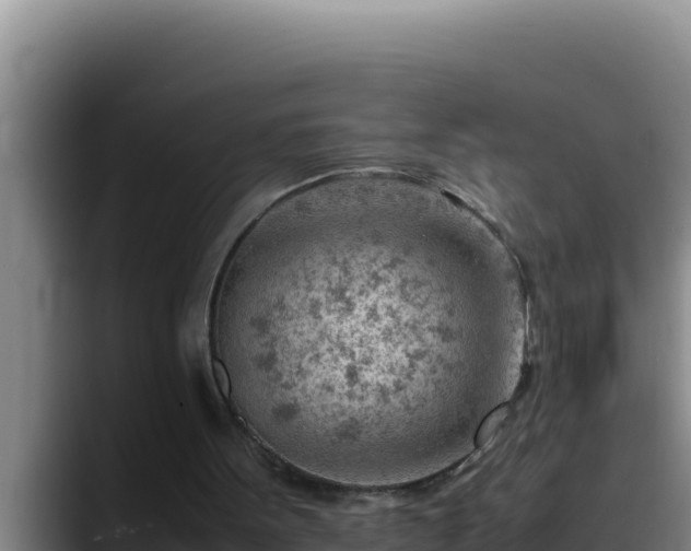 X0000090430099200707201143
