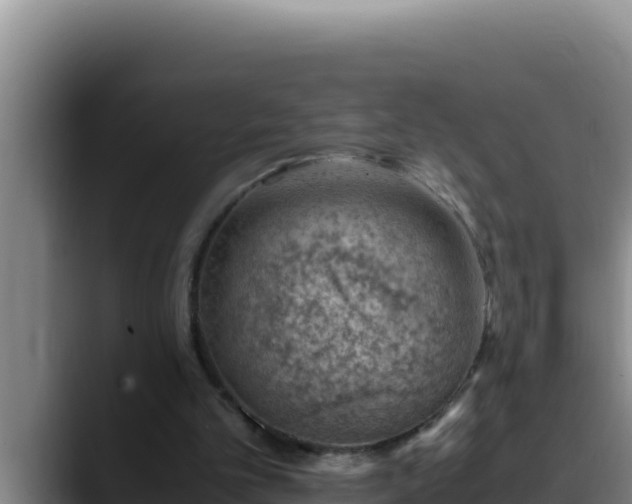 X0000090430101200707201143