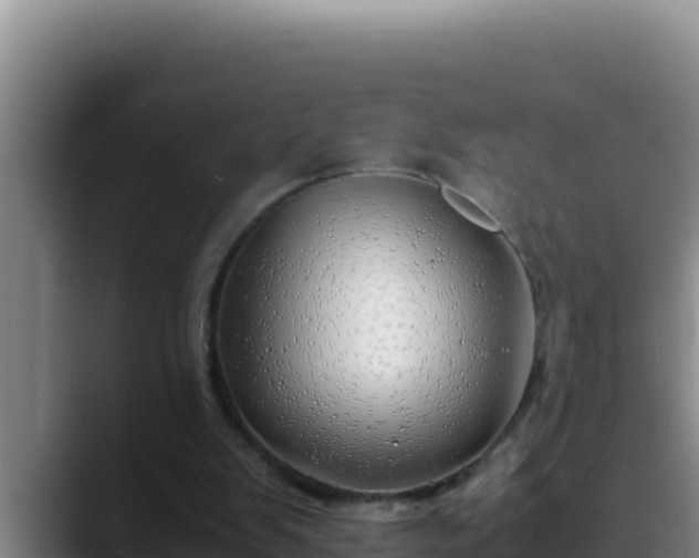 X0000090430103200707201143