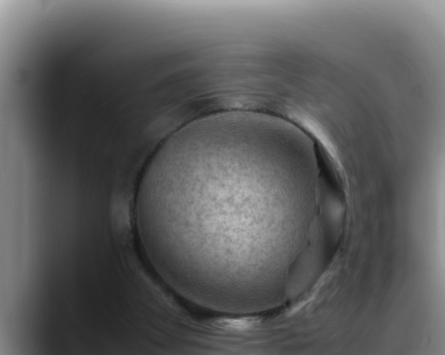 X0000090430105200707201143
