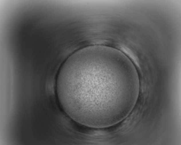 X0000090430107200707201143