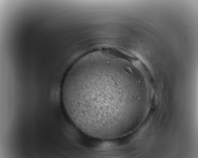 X0000090430111200707201143