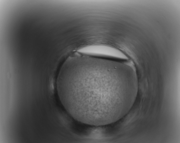 X0000090430115200707201143