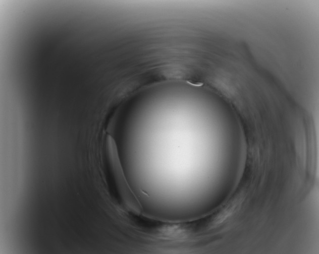 X0000090430117200707201143