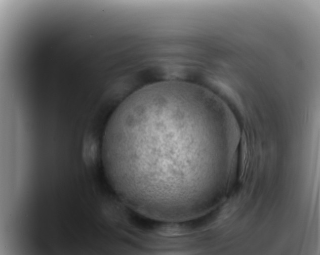 X0000090430123200707201143