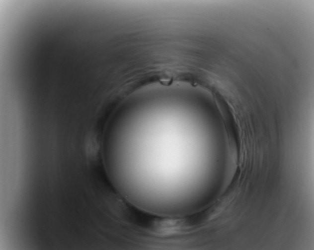 X0000090430129200707201143