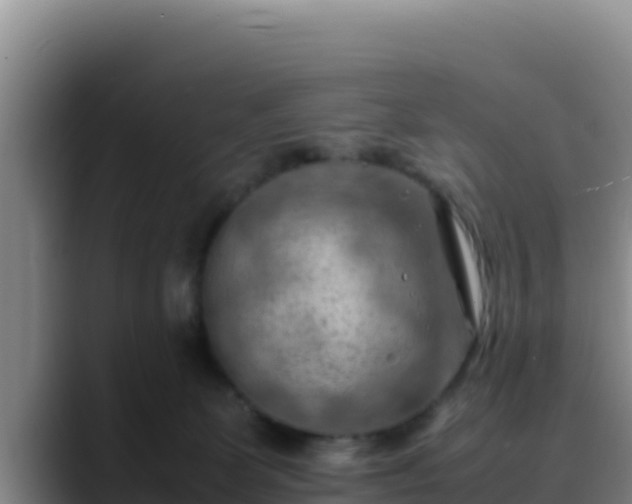 X0000090430131200707201143