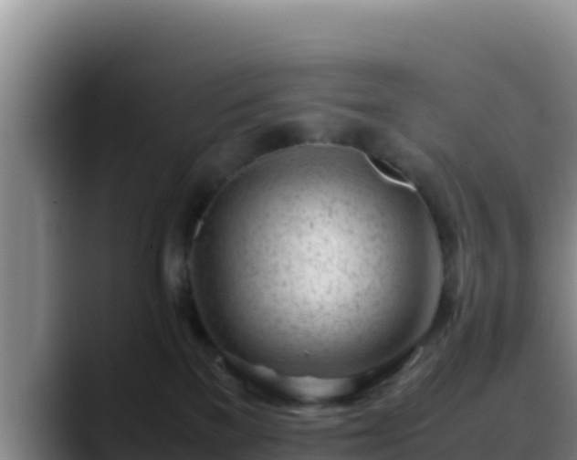 X0000090430137200707201143