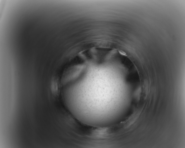 X0000090430138200707201143