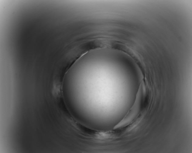 X0000090430141200707201143