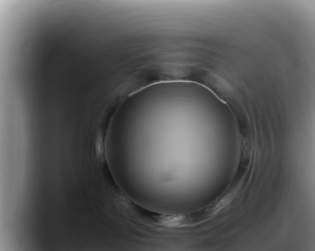 X0000090430143200707201143