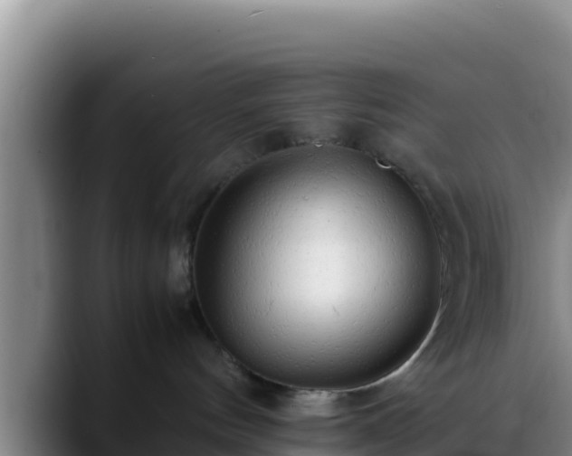 X0000090430144200707201143