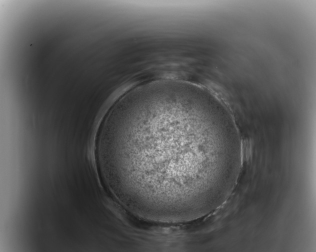 X0000090430147200707201142