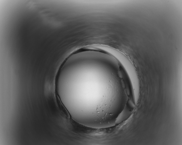 X0000090430148200707201142